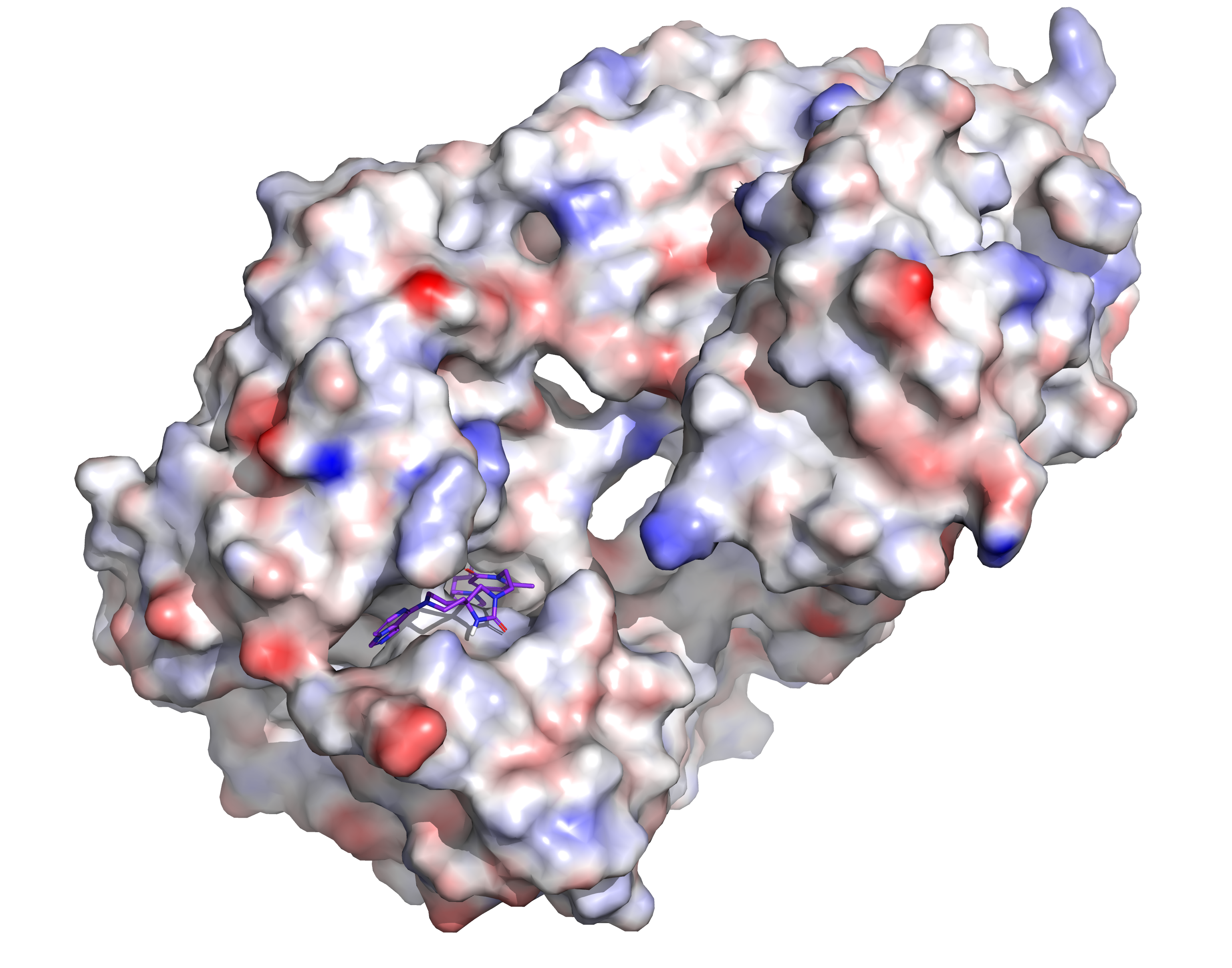 Protein electrostatic surface structure
