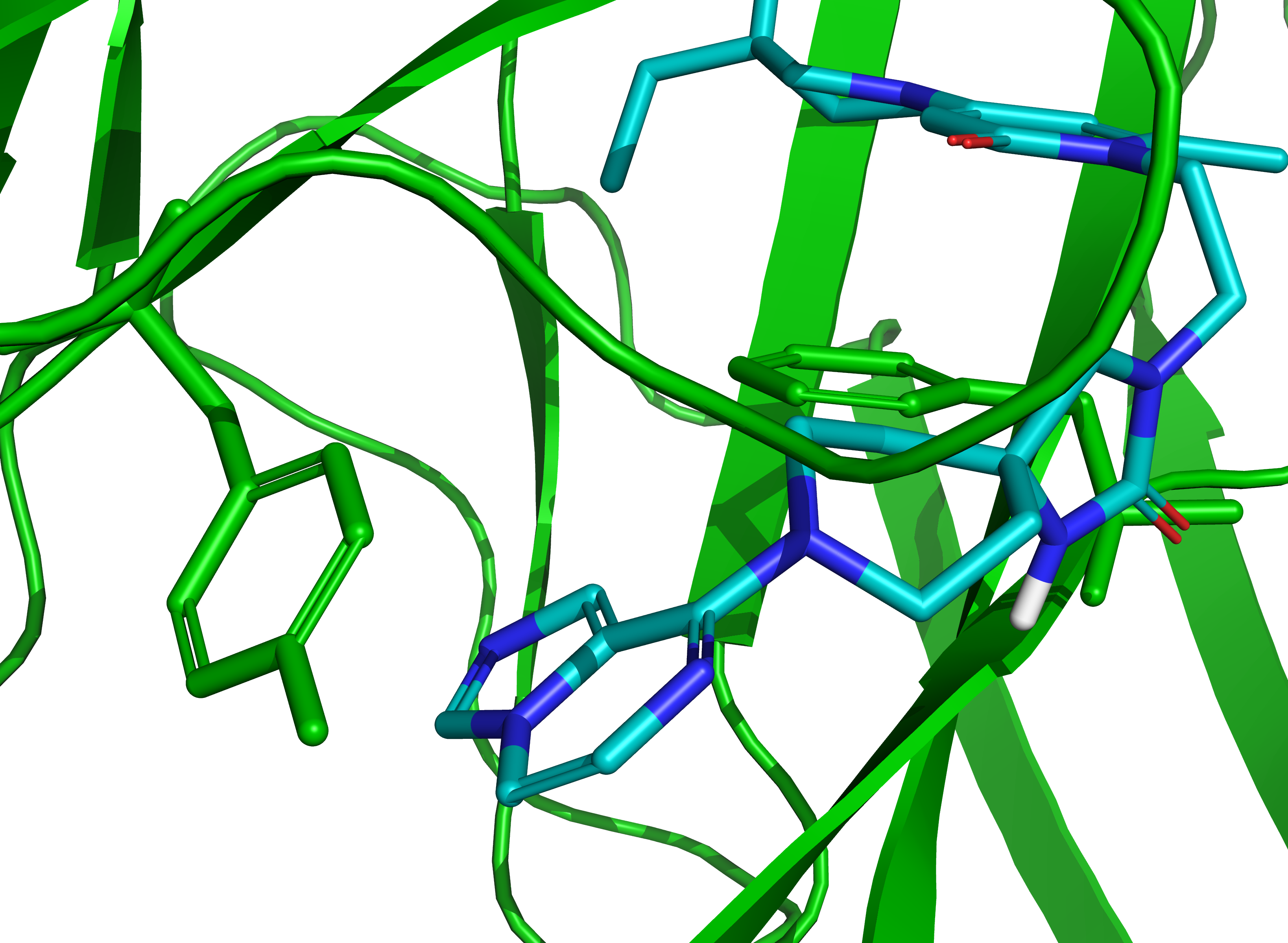 Protein Structure - Stick Model